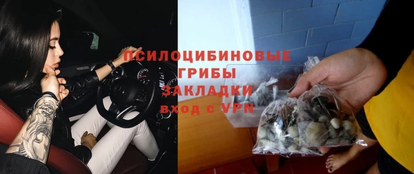 Альфа ПВП Костерёво