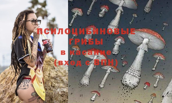 ALPHA PVP Коряжма