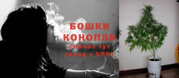 Альфа ПВП Костерёво