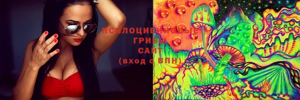 Альфа ПВП Костерёво