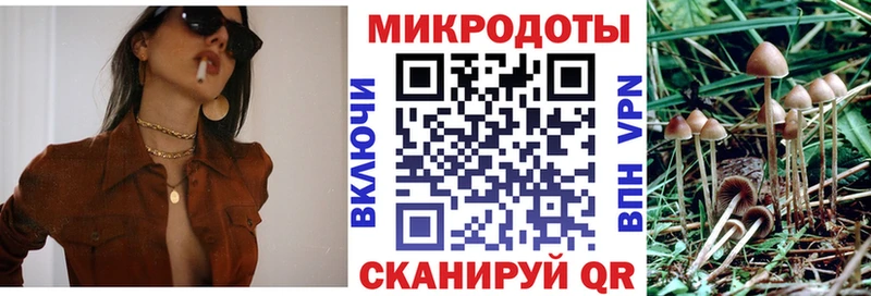 Галлюциногенные грибы Magic Shrooms  Купить закладки  Павлово 